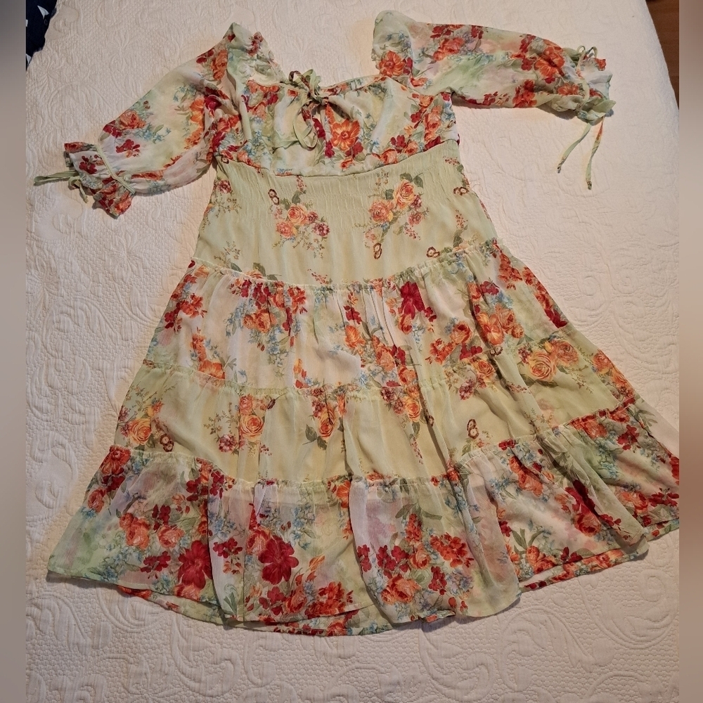 Secret Charm women's size Large sheer lined fairy garden floral dress, VGUC